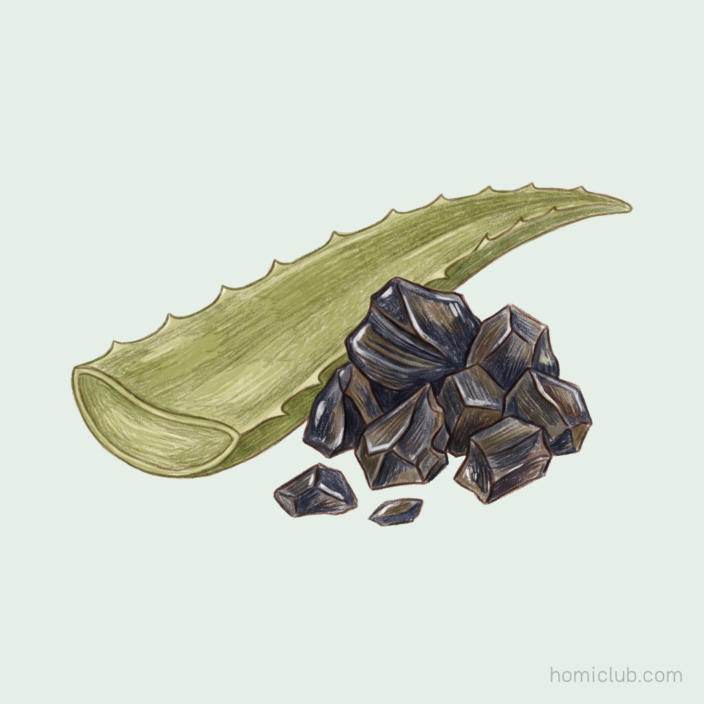 Aloe