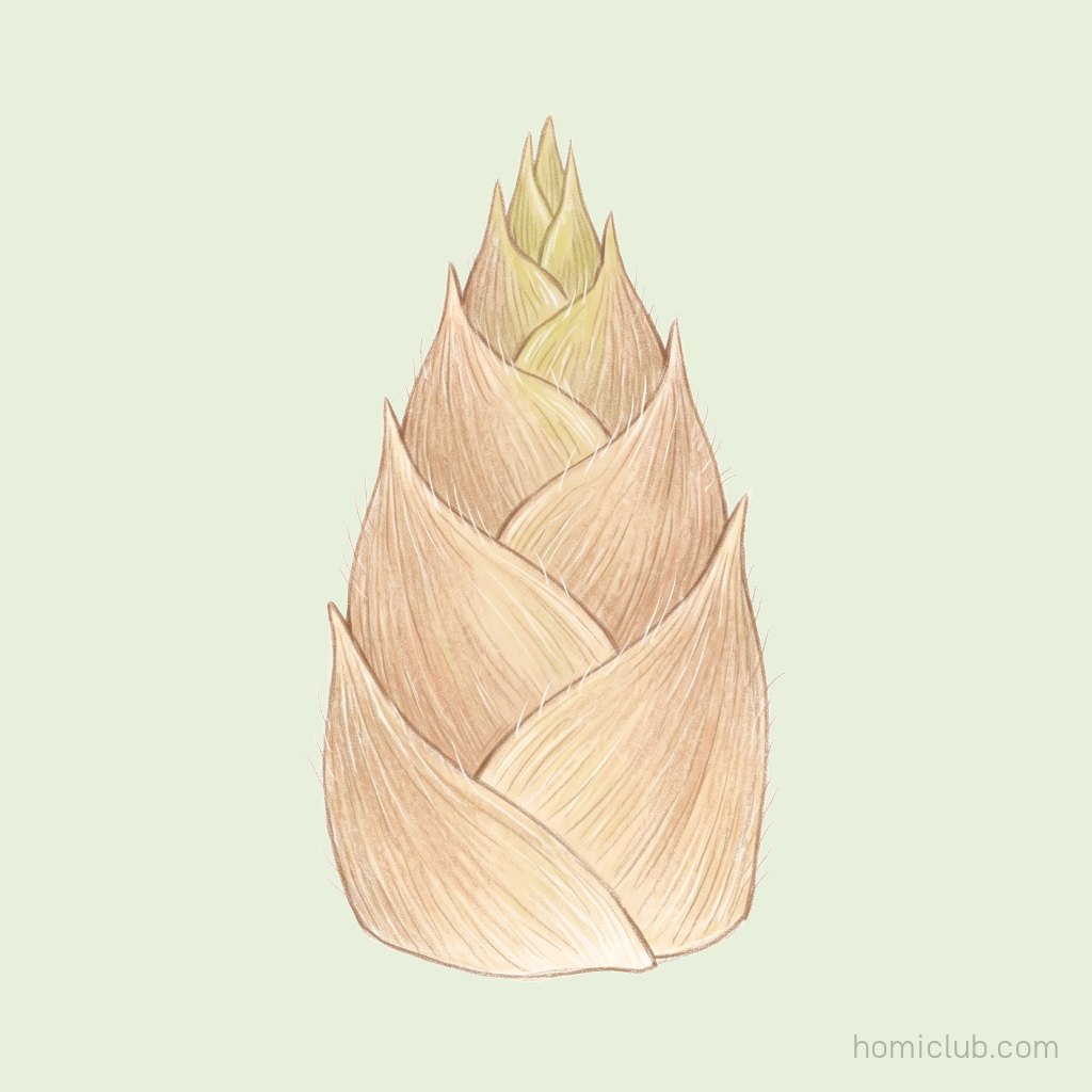 Bamboo Shoot