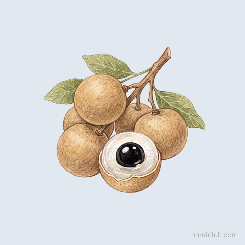 Longan