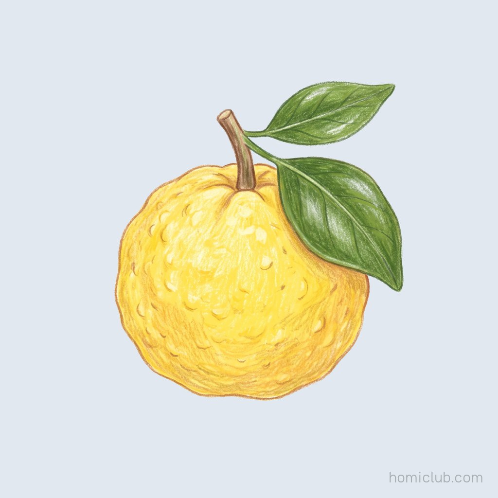 Yuja (Yuzu)